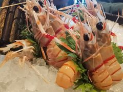 新西兰鳌虾-Mr·Fish鱼鲜生海鲜放题(银泰in99店)