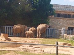 -石家庄市动物园