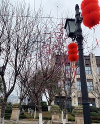 点击看大图 -重庆安琪儿妇产医院-妇幼保健联盟医院
