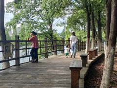 -艾溪湖湿地公园