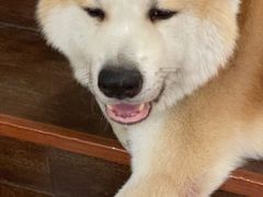 -YCHL Studios健身工作室(市二宫店)