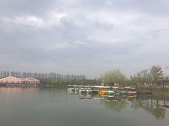 -上海长兴岛郊野公园