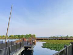 -苏州太湖湖滨国家湿地公园