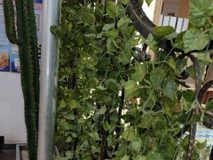 -咖啡人·融合餐厅(万达环宇店)