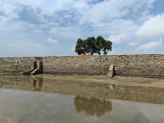 -红树林天天赶海