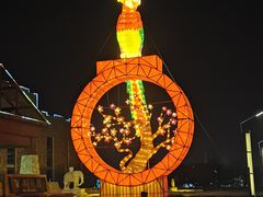 -南宫五洲植物乐园