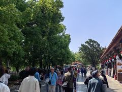 -翠湖公园