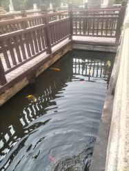 -安琪朵朵独栋花园月子中心