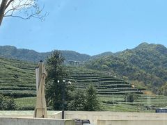 -龙坞茶村