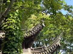 -天一阁博物院