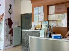 -瑞派申生动物医院·24H夜诊·国际动物医疗中心·骨外科(吴中路店)