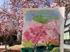 -BRAVO 赞·美艺术中心·系统美术·书法·艺考(双井校区)