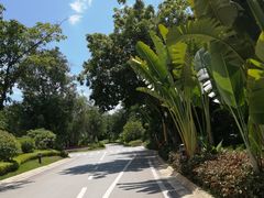 -西双版纳融创皇冠假日度假酒店