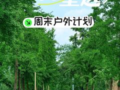 -白鹭湾湿地公园