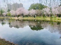 -堤角公园