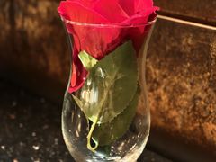 -华豫川酒家(大卫城店)