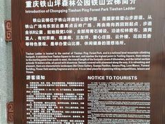 -铁山坪森林公园