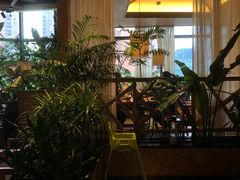 -大头椰·椰子鸡火锅(南宁万象城店)