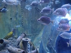 -成都浩海立方海洋公园