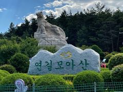 -帽儿山国家森林公园