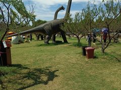 -上海海湾国家森林公园