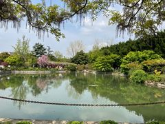 -嘉定紫藤园