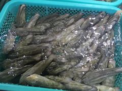 -渔傅·蓝海岸霞浦海鲜(正祥店)