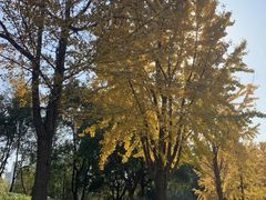 -苏州河梦清园环保主题公园