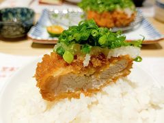 -堂本家·二代目·炸猪排(Express东海店)