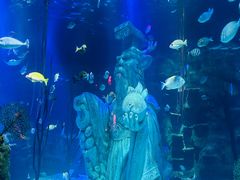 -沈阳海洋探索中心