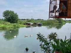 -乡乐园蟹庄·阳澄湖农家乐