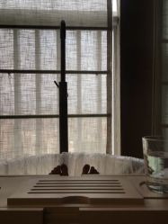 -肌理言健康美肌驻颜所