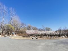 -永定河休闲森林公园