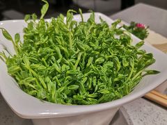 豆苗-海底捞火锅(海澜财富中心店)