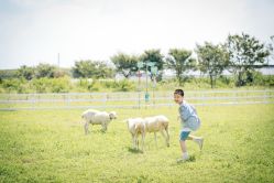 -BabyA 专业婴童摄影(古北时尚广场店)