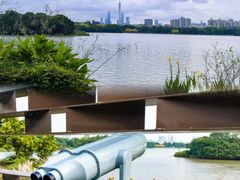 -海珠湖公园