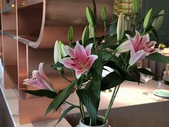 -南堂馆·新川菜(春熙路店)