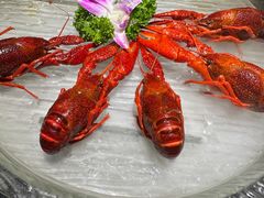 -京悦南门涮羊肉·羊蝎子火锅(田林路店)