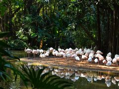 -广州长隆野生动物世界