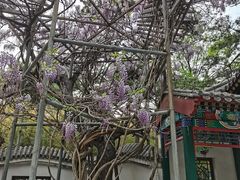 -红螺寺