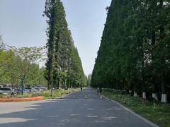 -黄海国家森林公园