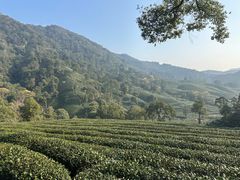 -西湖风景区十里琅珰-五云山