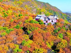-妙峰山风景名胜区