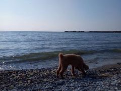 -小黑石海滨浴场·停车场