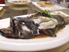 -御同亨酒楼·喜宴