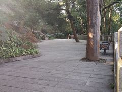 -乌山风景区