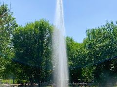 -朝阳公园游乐园