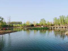 -东郊湿地公园