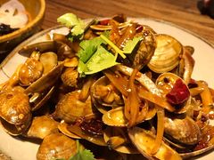 -并州大牌档之醉轻尘
