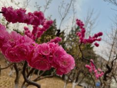 -元大都城垣遗址公园